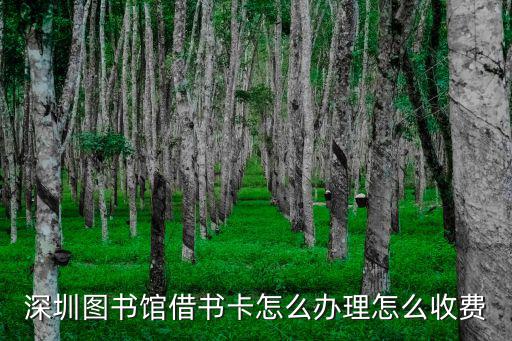 深圳圖書(shū)館借書(shū)卡怎么辦理怎么收費(fèi)