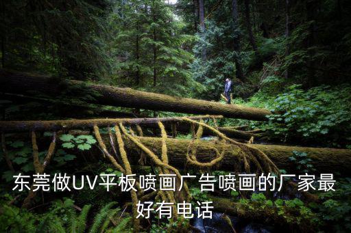 東莞市萬通裝飾工程有限公司，東莞最好的房子裝修公司