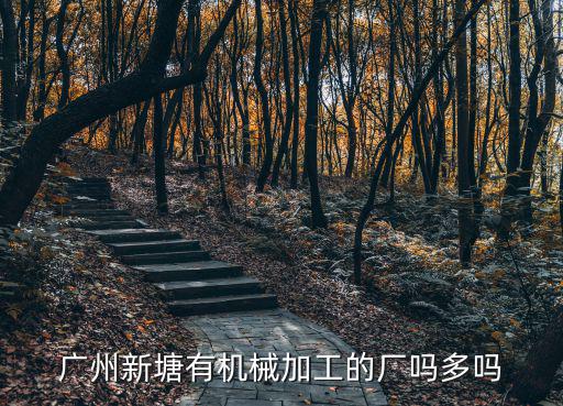 廣州新塘有機械加工的廠嗎多嗎