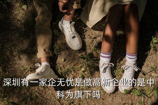 深圳有一家企無憂是做高新企業的是中科為旗下嗎
