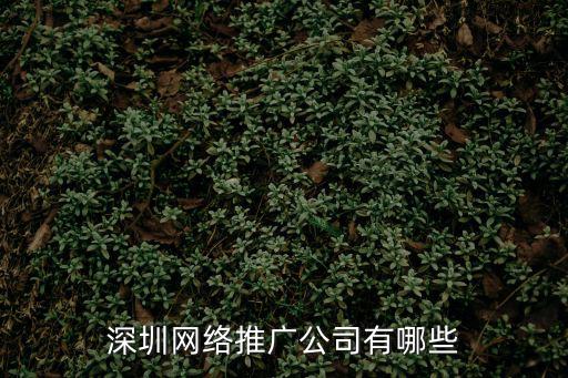 深圳網絡推廣公司有哪些