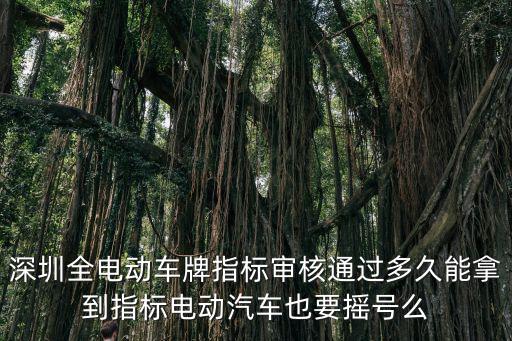 深圳全電動車牌指標審核通過多久能拿到指標電動汽車也要搖號么