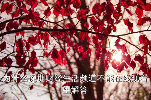 為什么深圳財(cái)經(jīng)生活頻道不能在線觀看望解答