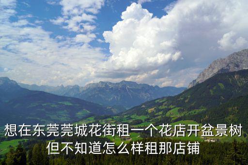 想在東莞莞城花街租一個花店開盆景樹但不知道怎么樣租那店鋪