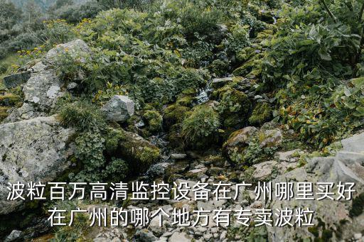波粒百萬高清監控設備在廣州哪里買好在廣州的哪個地方有專賣波粒