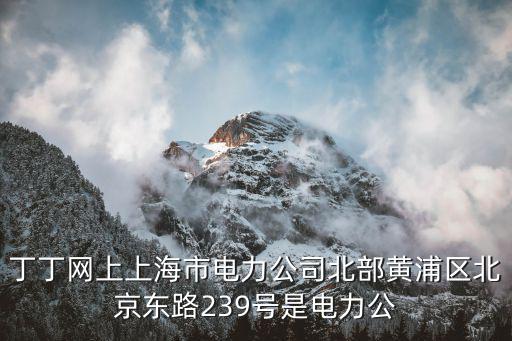 丁丁網上上海市電力公司北部黃浦區北京東路239號是電力公