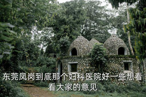 東莞鳳崗到底那個婦科醫院好一些想看看大家的意見