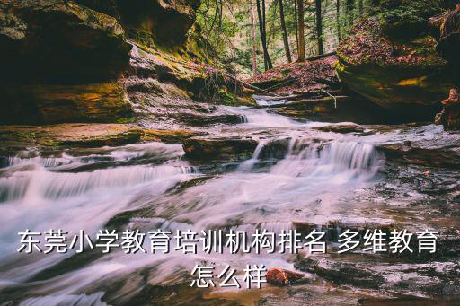 東莞小學教育培訓機構排名 多維教育怎么樣