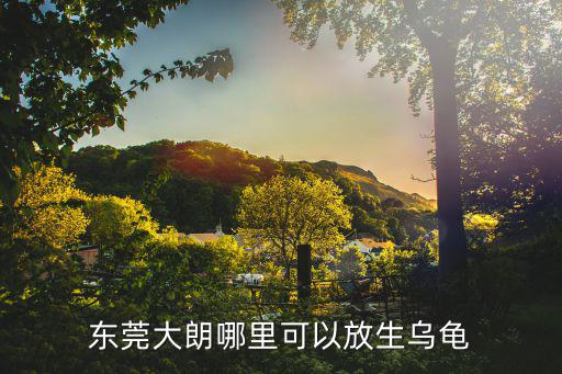 東莞大朗哪里可以放生烏龜