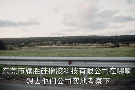 東莞市旗勝硅橡膠科技有限公司在哪啊 想去他們公司實地考察下