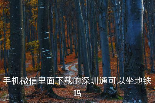 手機微信里面下載的深圳通可以坐地鐵嗎
