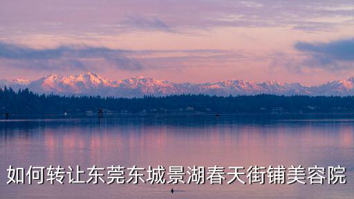 如何轉(zhuǎn)讓東莞東城景湖春天街鋪美容院