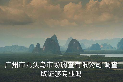 廣州市九頭鳥市場調查有限公司 調查取證夠專業嗎