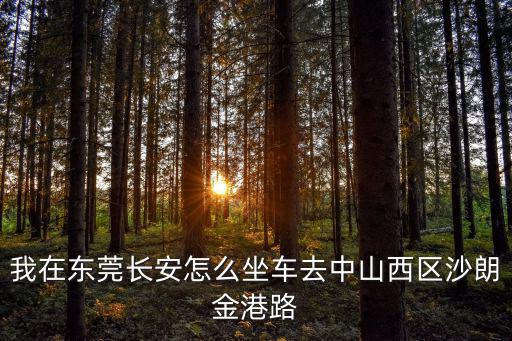我在東莞長安怎么坐車去中山西區沙朗金港路