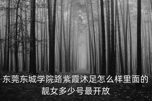 東莞東城學院路紫霞沐足怎么樣里面的靚女多少號最開放