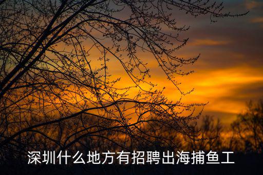 深圳什么地方有招聘出海捕魚工