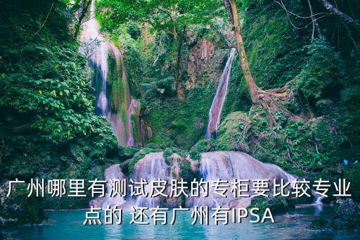 廣州哪里有測試皮膚的專柜要比較專業點的 還有廣州有IPSA