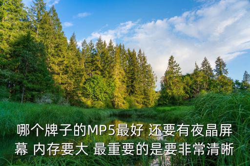 千晶電子深圳有限公司，哪個(gè)牌子的MP5最好 還要有夜晶屏幕 內(nèi)存要大 最重要的是要非常清晰