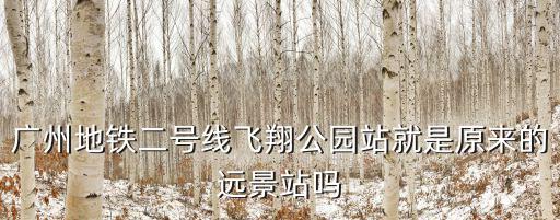 廣州地鐵二號線飛翔公園站就是原來的遠景站嗎