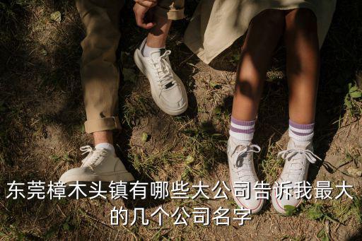 東莞樟木頭鎮(zhèn)有哪些大公司告訴我最大的幾個公司名字