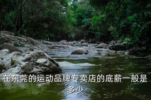 在東莞的運動品牌專賣店的底薪一般是多少