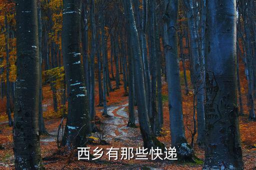 西鄉(xiāng)有那些快遞