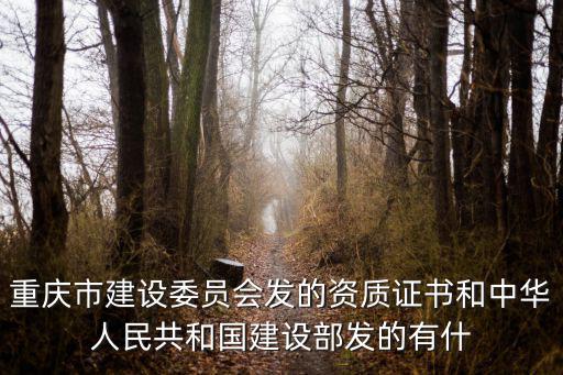 重慶市建設(shè)委員會發(fā)的資質(zhì)證書和中華人民共和國建設(shè)部發(fā)的有什