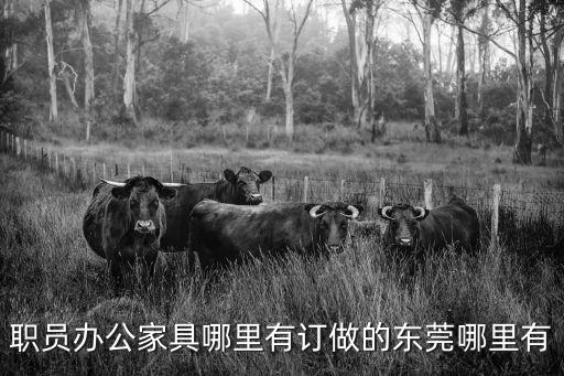 職員辦公家具哪里有訂做的東莞哪里有