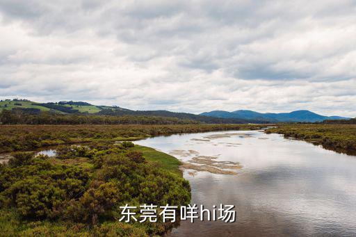 東莞有咩hi場