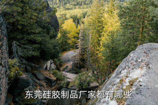 東莞硅膠制品廠家都有哪些