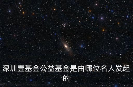 深圳壹基金公益基金是由哪位名人發起的