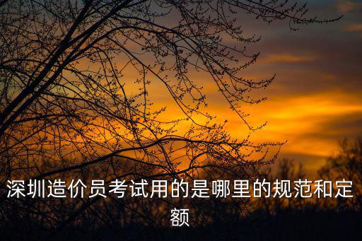 深圳造價員考試用的是哪里的規范和定額