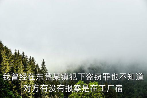我曾經在東莞某鎮犯下盜竊罪也不知道對方有沒有報案是在工廠宿