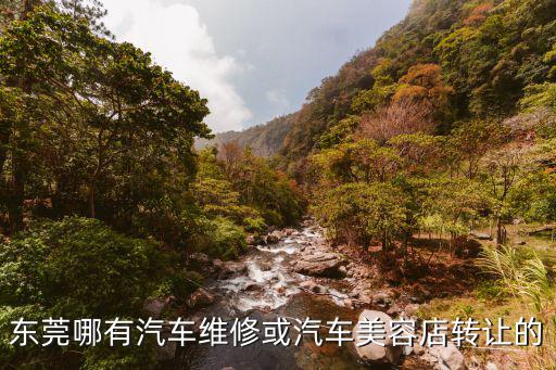 東莞美容院轉讓信息，深圳美容院轉讓