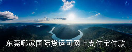 東莞哪家國際貨運可網上支付寶付款