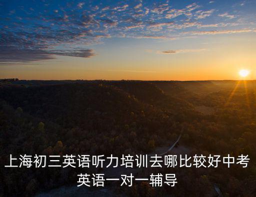 上海初三英語聽力培訓(xùn)去哪比較好中考英語一對(duì)一輔導(dǎo)
