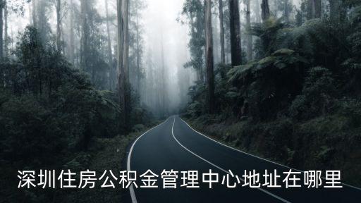 深圳住房公積金管理中心，深圳市住房公積金管理中心網址