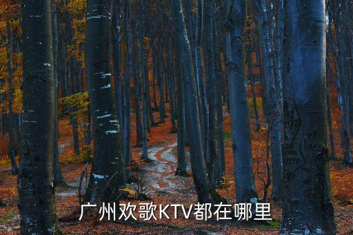 廣州歡歌KTV都在哪里