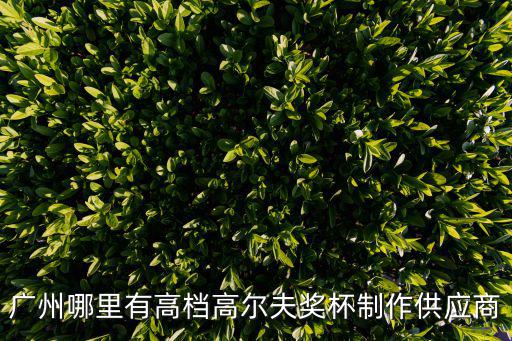 廣州哪里有高檔高爾夫獎杯制作供應商
