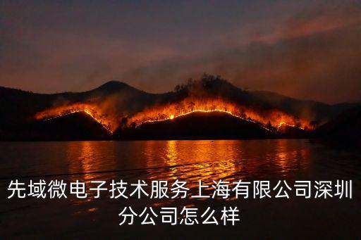 深圳長先科技有限公司，先域微電子技術服務上海有限公司深圳分公司怎么樣