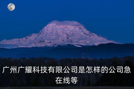 廣州華耀光電科技有限公司怎么樣，廣州夜空彩虹燈飾公司的規模大嗎