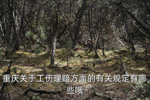 重慶市工傷處理辦法，重慶關于工傷理賠方面的有關規(guī)定有哪些哦