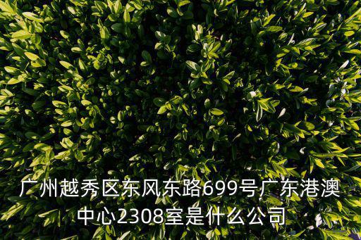 廣州越秀區(qū)東風(fēng)東路699號(hào)廣東港澳中心2308室是什么公司