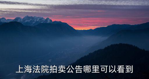 上海法院拍賣公告哪里可以看到