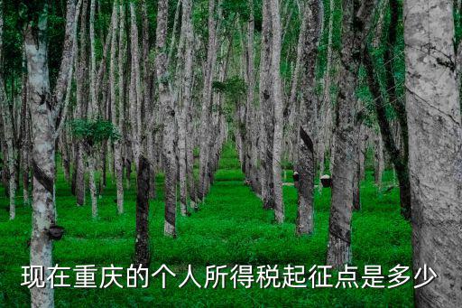 現(xiàn)在重慶的個(gè)人所得稅起征點(diǎn)是多少