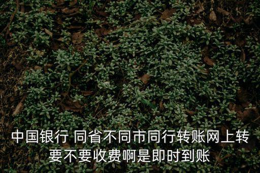 中國銀行 同省不同市同行轉賬網上轉要不要收費啊是即時到賬