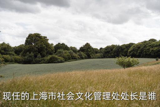 現(xiàn)任的上海市社會(huì)文化管理處處長是誰