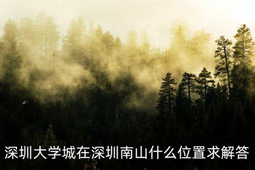 深圳大學城在深圳南山什么位置求解答