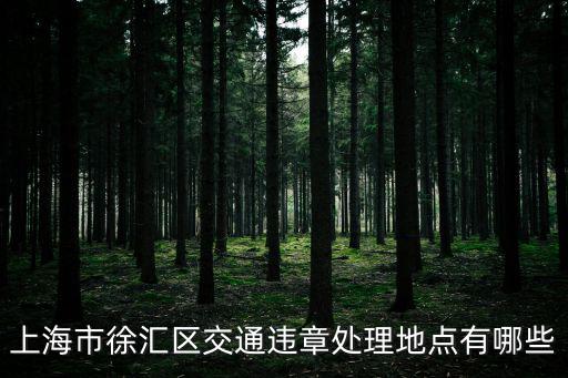 上海市徐匯區(qū)交通違章處理地點有哪些