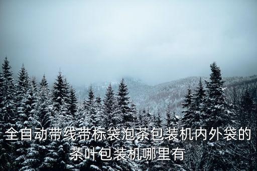 全自動帶線帶標(biāo)袋泡茶包裝機(jī)內(nèi)外袋的茶葉包裝機(jī)哪里有